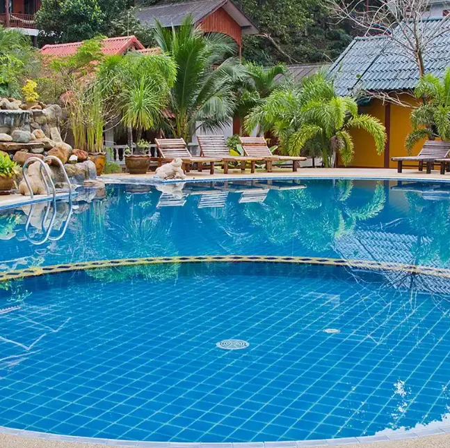 Swimming pool with a blue tiled interior and palm trees